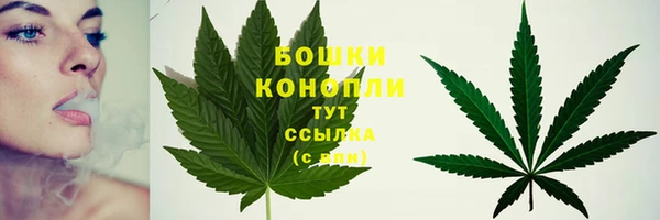 сатива Абаза