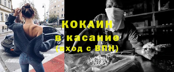 сатива Абаза