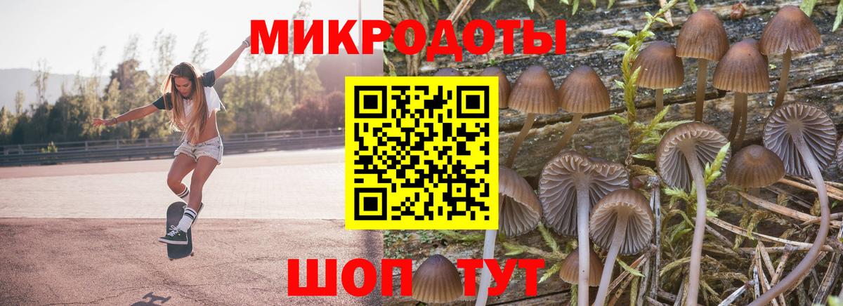 Псилоцибиновые грибы GOLDEN TEACHER Курчатов