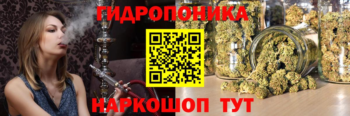 Конопля White Widow  Вход с VPN  Курчатов  Шишки марихуана Ganja  МАРИХУАНА Bruce Banner 
